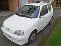 Fiat Seicento 50th anniversary Wit - thumbnail 2