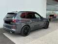 BMW X5 xDrive30d M Paket 22Zoll Sky Lounge Pano 360Kamera Grau - thumbnail 4