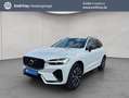 Volvo XC60 XC60 B4 AWD Plus-Dark Aut Leder BLIS PilotAssist Weiß - thumbnail 1