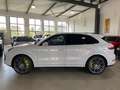 Porsche Cayenne Turbo S E Hybrid/Pano/HUD/Matrix/22´/BUR Beyaz - thumbnail 7