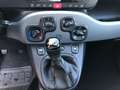 Fiat Panda 2021 1.0 firefly hybrid City Life s&s Bianco - thumbnail 15
