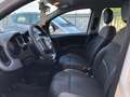 Fiat Panda 2021 1.0 firefly hybrid City Life s&s Bianco - thumbnail 11