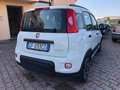 Fiat Panda 2021 1.0 firefly hybrid City Life s&s Bianco - thumbnail 8