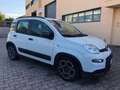 Fiat Panda 2021 1.0 firefly hybrid City Life s&s Bianco - thumbnail 2