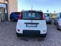 Fiat Panda 2021 1.0 firefly hybrid City Life s&s Bianco - thumbnail 7