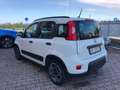 Fiat Panda 2021 1.0 firefly hybrid City Life s&s Bianco - thumbnail 3