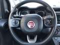 Fiat Panda 2021 1.0 firefly hybrid City Life s&s Bianco - thumbnail 14
