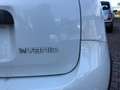Fiat Panda 2021 1.0 firefly hybrid City Life s&s Bianco - thumbnail 4