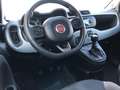 Fiat Panda 2021 1.0 firefly hybrid City Life s&s Bianco - thumbnail 12