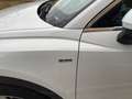 Audi Q3 Q3  40 2.0 tfsi S line edition quattro s-tronic Blanc - thumbnail 14
