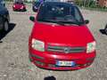 Fiat Panda 1.2 natural power Dynamic Mamy tetto panoramico Rouge - thumbnail 6