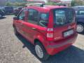 Fiat Panda 1.2 natural power Dynamic Mamy tetto panoramico Rosso - thumbnail 4
