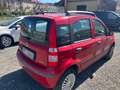 Fiat Panda 1.2 natural power Dynamic Mamy tetto panoramico Rouge - thumbnail 2
