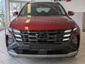 Hyundai TUCSON 1.8 T-GDI Prime Mild-Hybrid 4WD Pano AHK Rot - thumbnail 2