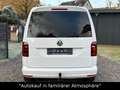 Volkswagen Caddy Maxi Comfortline DSG+AHK+BI-XENON+ACC Blanc - thumbnail 5