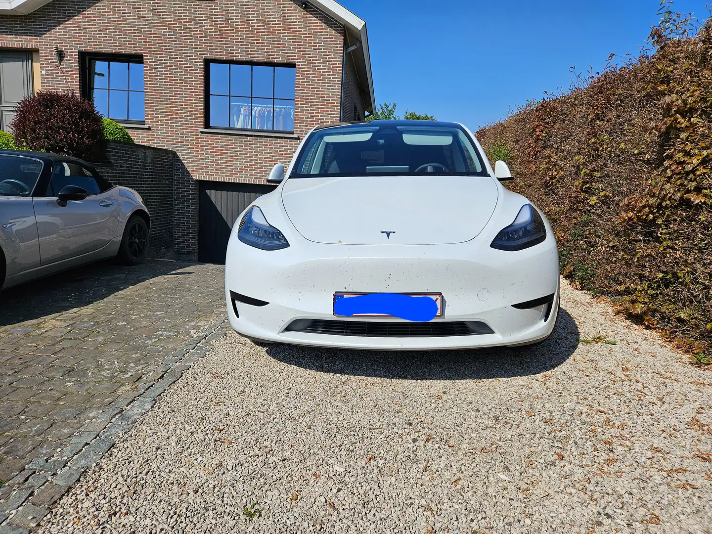Tesla Model Y Model Y RWD Blanc - 2