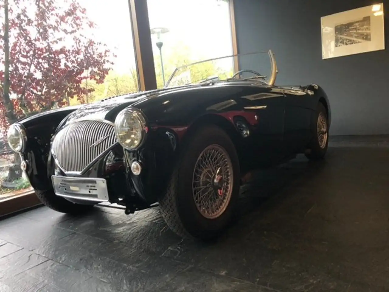 Austin-Healey 100