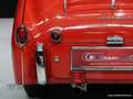 Triumph TR3 '59 CH821L Rouge - thumbnail 13
