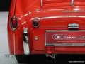 Triumph TR3 '59 CH821L Rojo - thumbnail 13