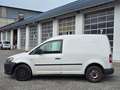 Volkswagen Caddy Kasten/Kombi Kasten Economy Weiß - thumbnail 8