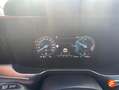 Kia Sorento 1.6 T-GDi HEV Plus Edition 4x2 Gris - thumbnail 14