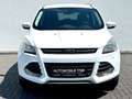 Ford Kuga Sync Edition 1.5 / NAVI/PDC/SHZ/GARANTIE/ White - thumbnail 2