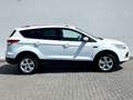 Ford Kuga Sync Edition 1.5 / NAVI/PDC/SHZ/GARANTIE/ White - thumbnail 4