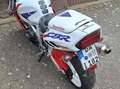 Honda CBR 900 Rot - thumbnail 2