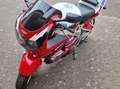 Honda CBR 900 Rot - thumbnail 4