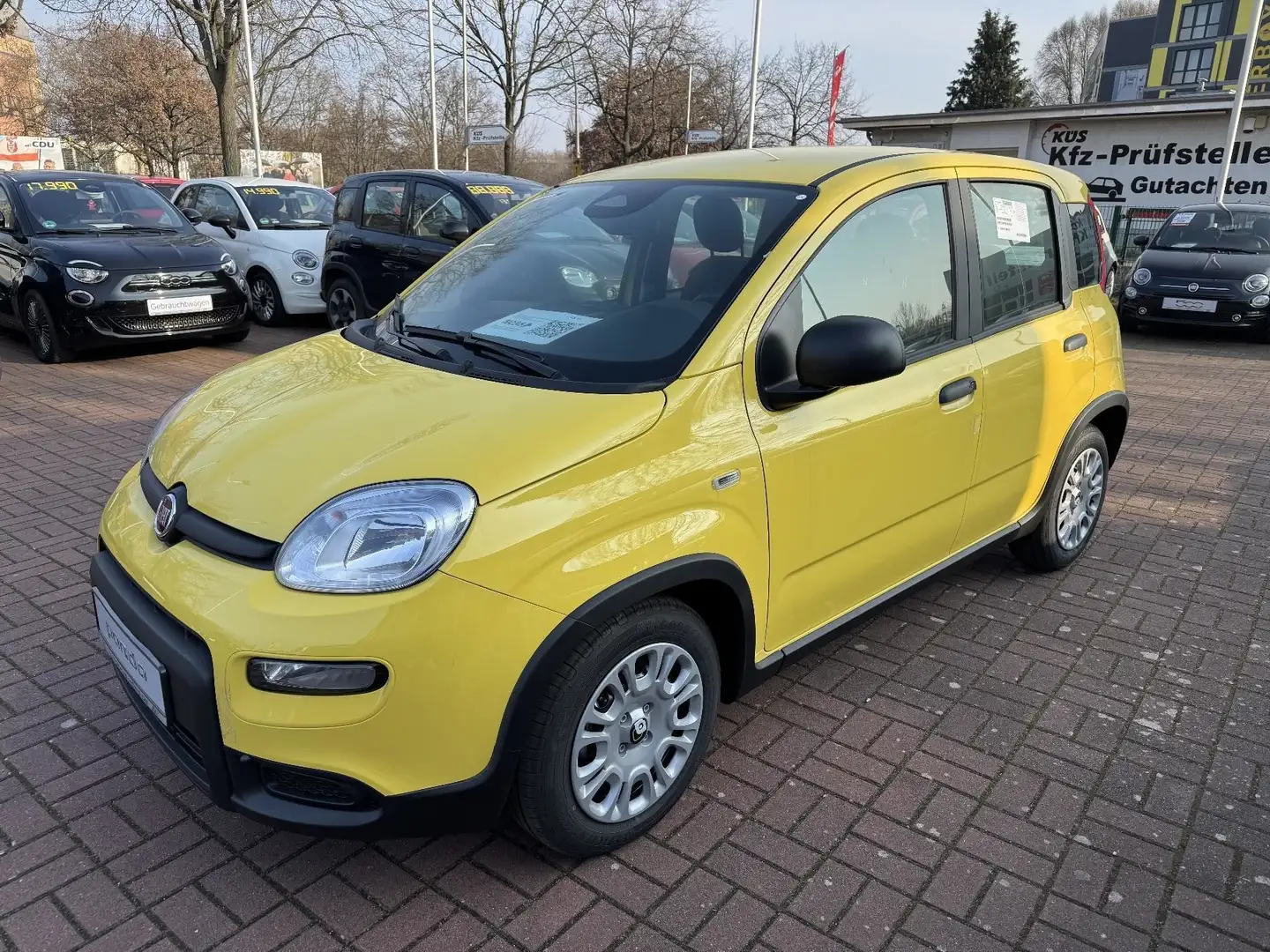 Fiat Panda MY24 1.0 Klima PDC Citypaket Gelb - 1
