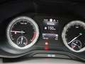 Skoda Kodiaq Ambition 2.0TDI DSG / Navi, LED, AHK, ACC Gris - thumbnail 15