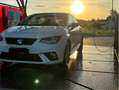 SEAT Ibiza Ibiza V 20171.6 tdi Xcellence 95cv Bianco - thumbnail 5