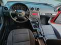 Audi A3 1.9 TDI DPF S line Sportpaket (plus) - thumbnail 9