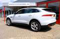 Jaguar F-Pace 2.0t AWD 250pk Premium Edition Aut. Pano|Leder|Cam Wit - thumbnail 43