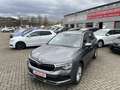 Skoda Kamiq 1,5 TSI DSG Selection Plus + Kamera + AHK + PDC + Grau - thumbnail 19