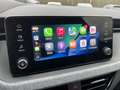 Skoda Kamiq 1,5 TSI DSG Selection Plus + Kamera + AHK + PDC + Grau - thumbnail 12