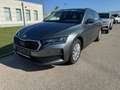 Skoda Octavia Essence TDI Grau - thumbnail 1