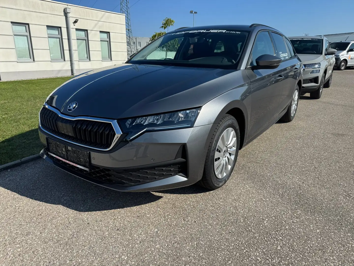 Skoda Octavia Essence TDI Grau - 1