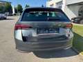 Skoda Octavia Essence TDI Grau - thumbnail 6