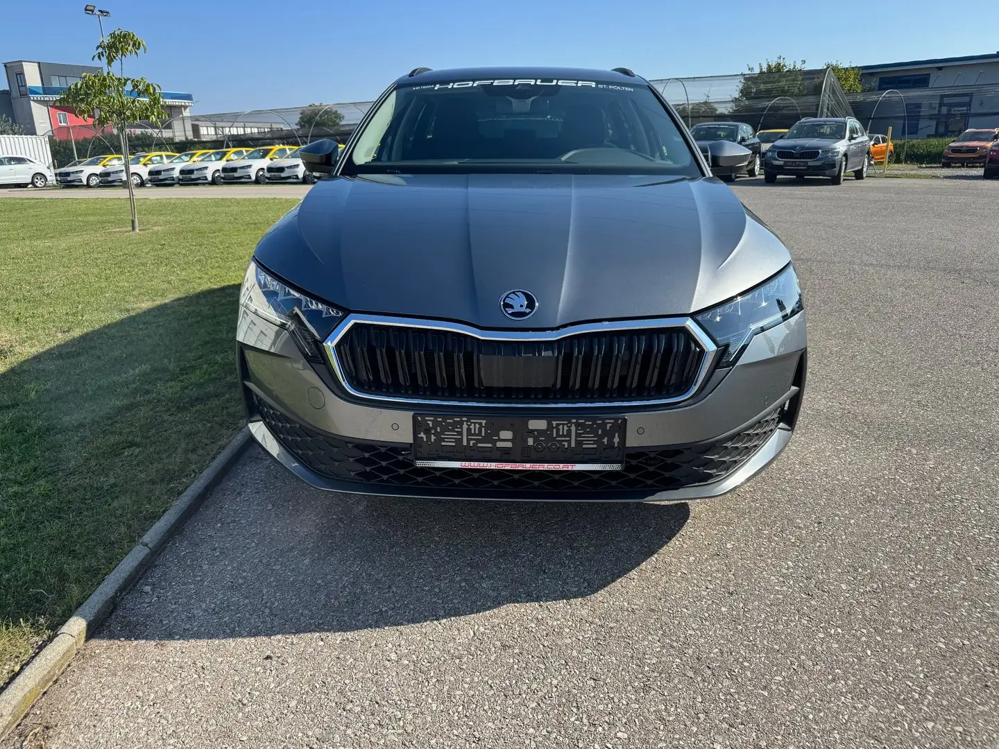 Skoda Octavia Essence TDI Grau - 2