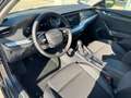 Skoda Octavia Essence TDI Grau - thumbnail 9