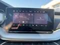 Skoda Octavia Essence TDI Grau - thumbnail 12