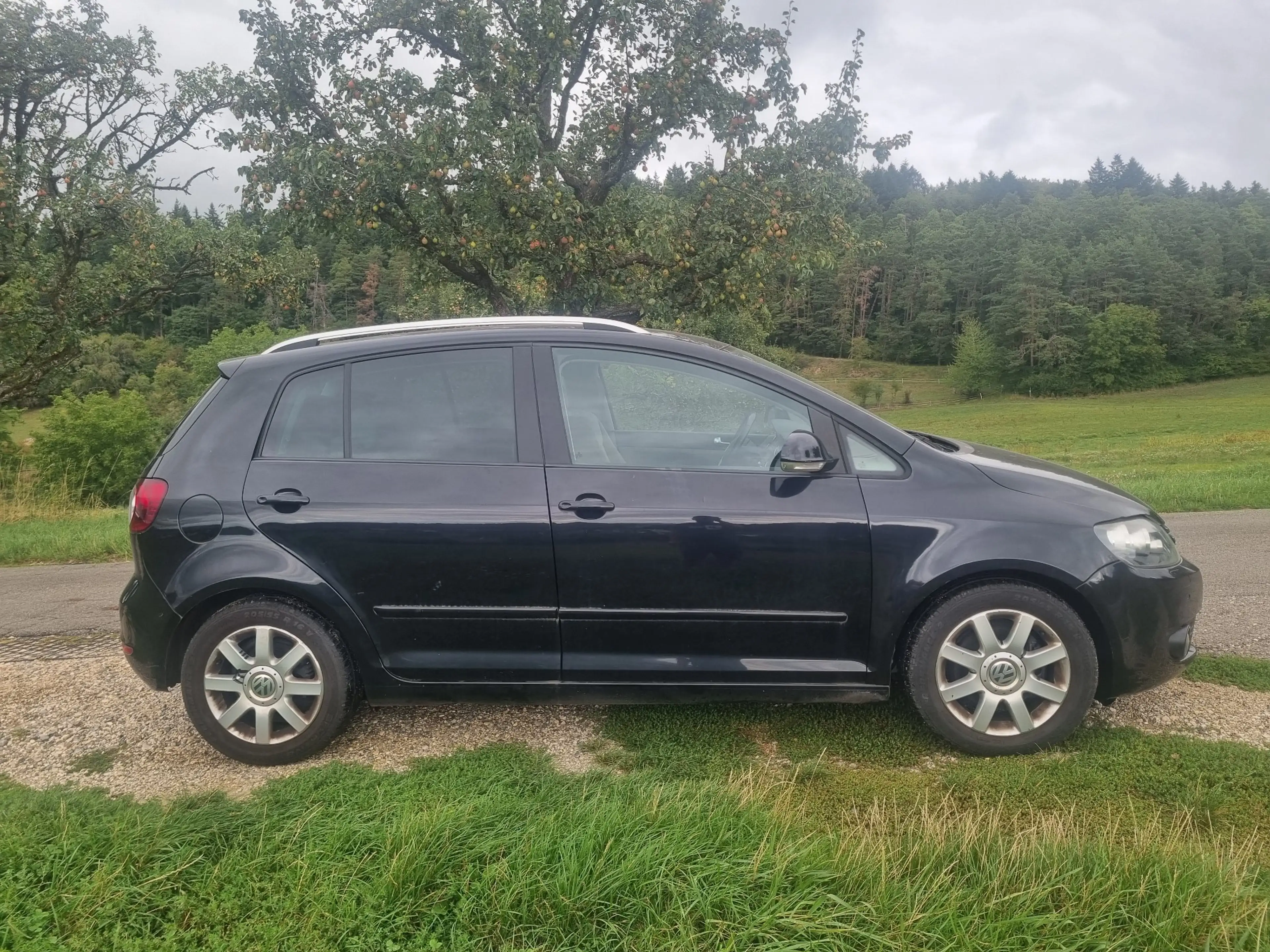 Volkswagen Golf Plus Comfortline AHK PDC — photo 9
