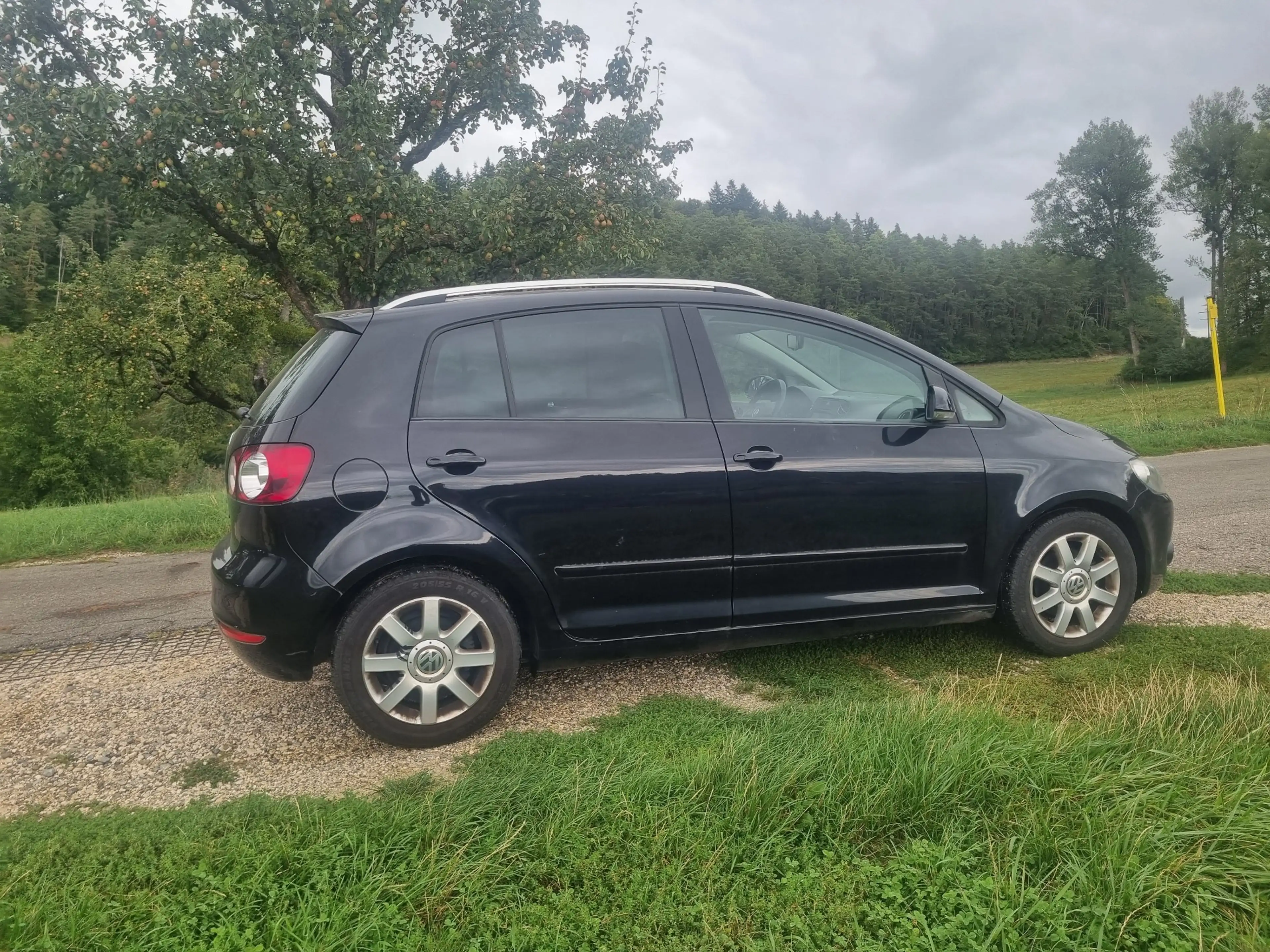 Volkswagen Golf Plus Comfortline AHK PDC — photo 8