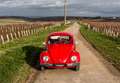 Volkswagen Coccinelle 1300 Rot - thumbnail 41