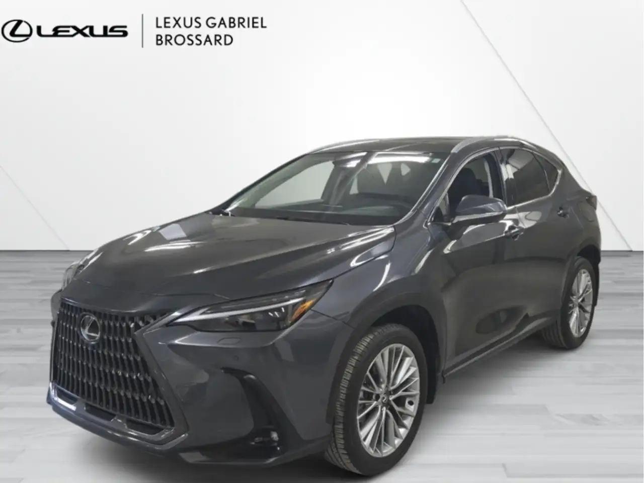 2025 Lexus NX