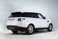 Land Rover Range Rover Sport 3.0TDV6 SE Aut. Blanco - thumbnail 9