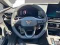CUPRA Leon 1.5 eTSI DSG Grau - thumbnail 12