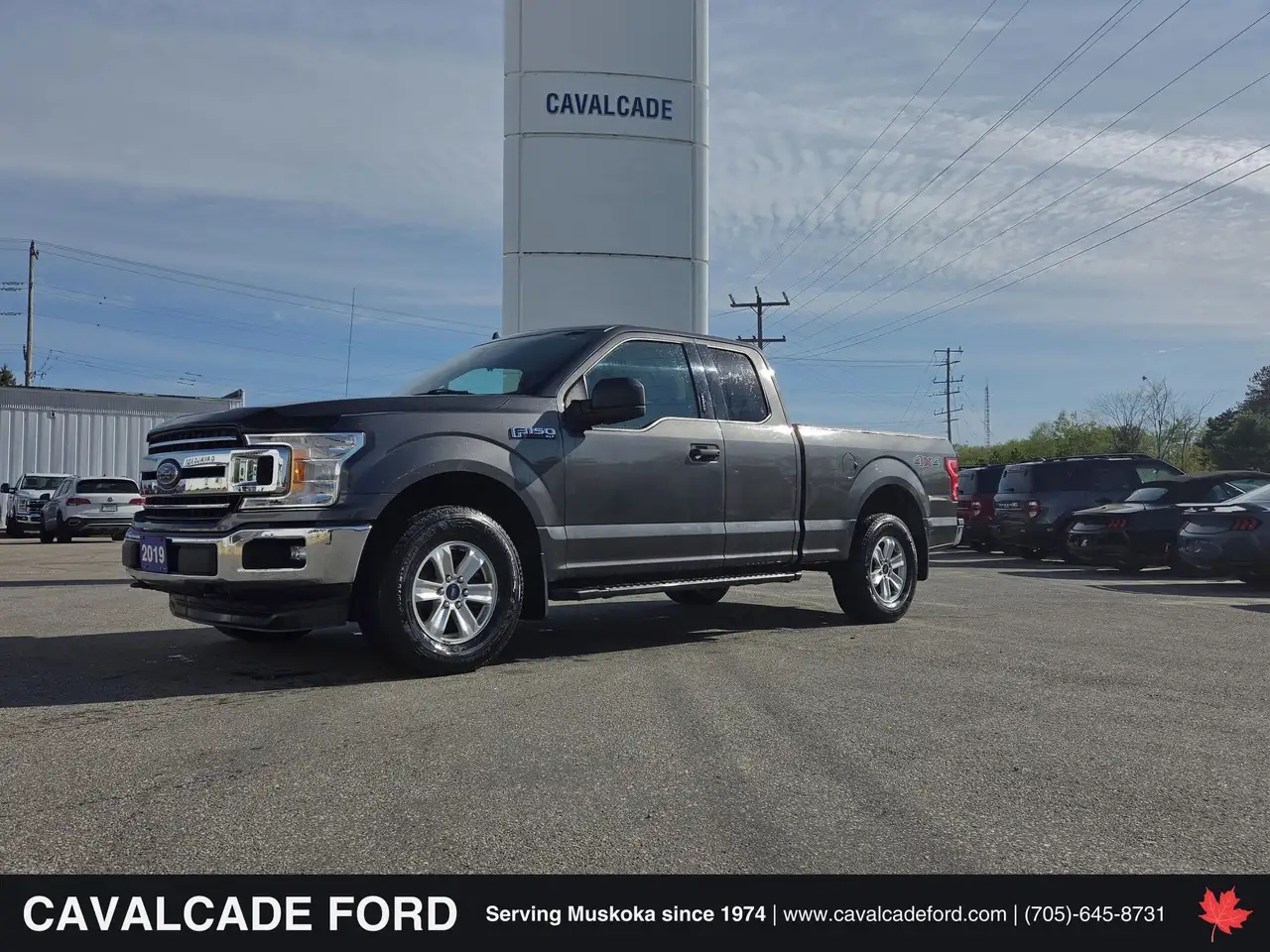 2019 Ford F 150