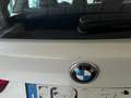 BMW X5 sDrive25d Luxury - Turbo e freni nuovi Weiß - thumbnail 6
